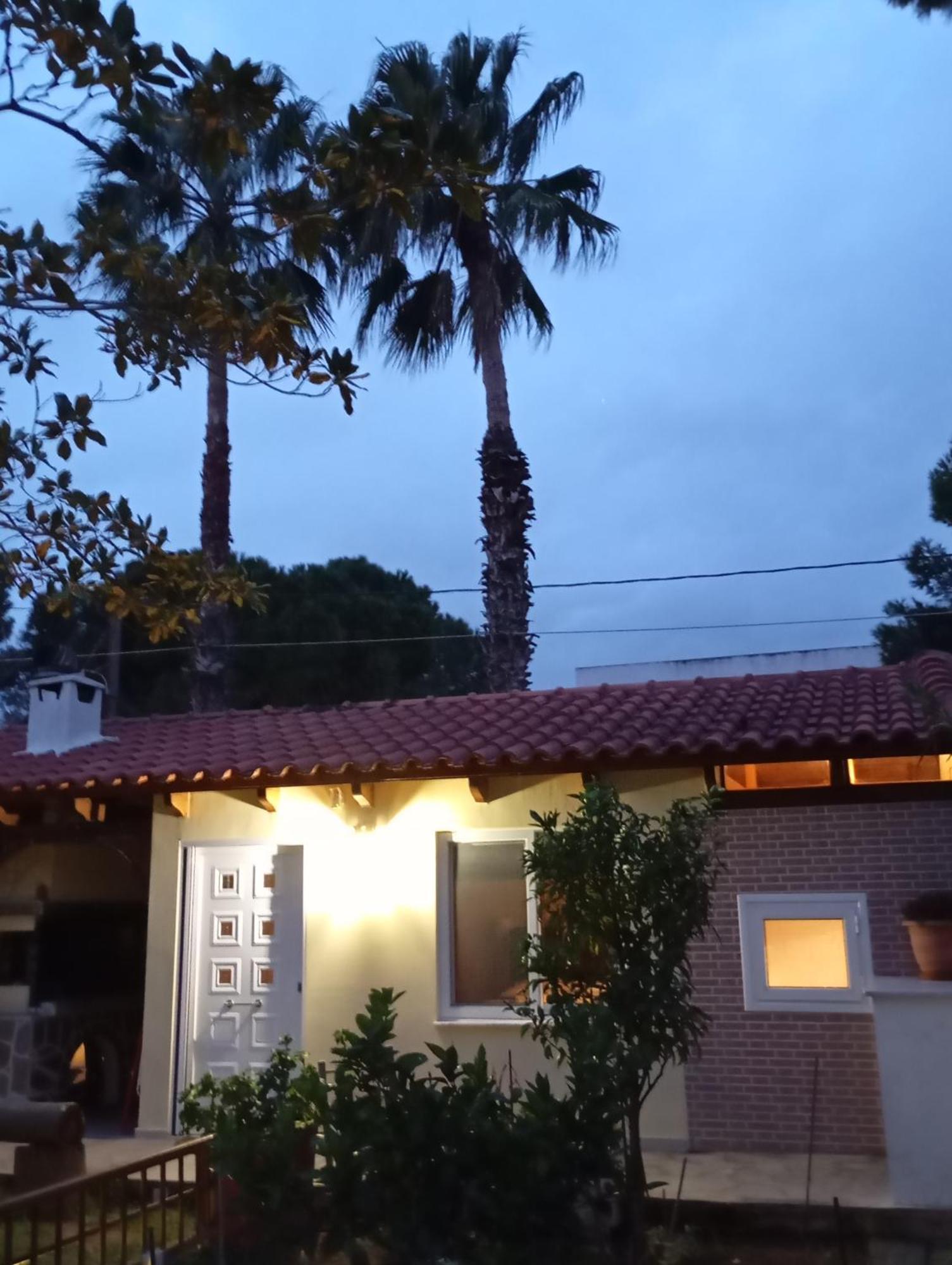 Anna'S Apartment And Studio Artemida (Attica) Exterior foto