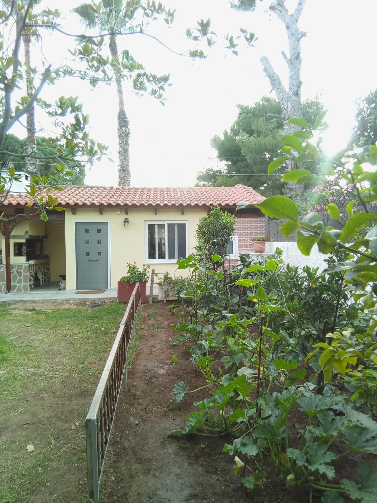 Anna'S Apartment And Studio Artemida (Attica) Exterior foto