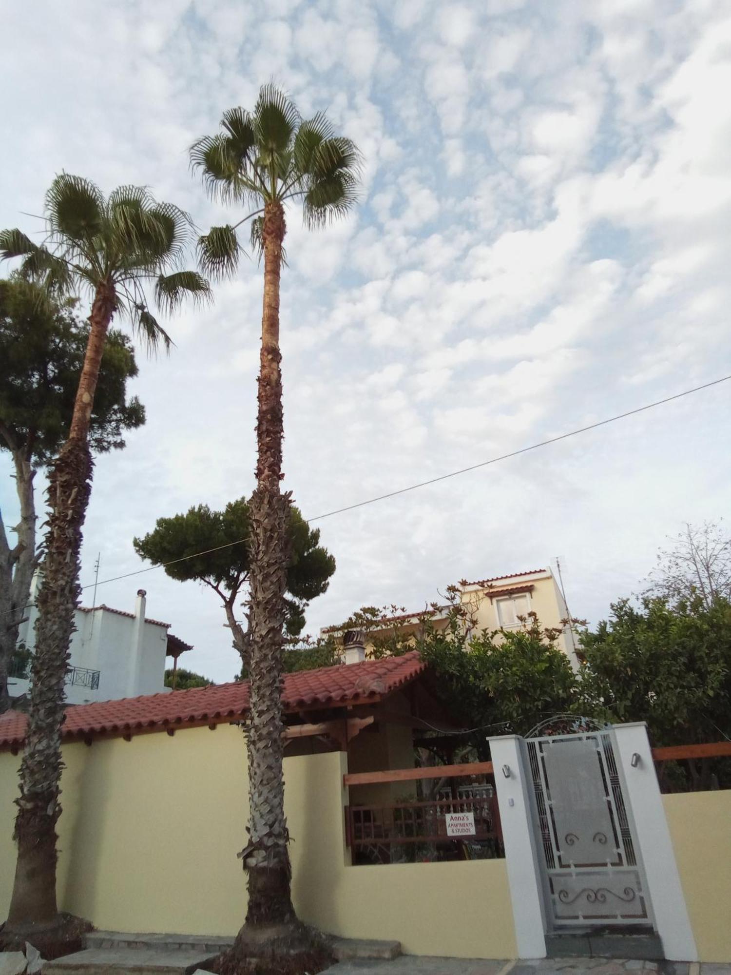 Anna'S Apartment And Studio Artemida (Attica) Exterior foto